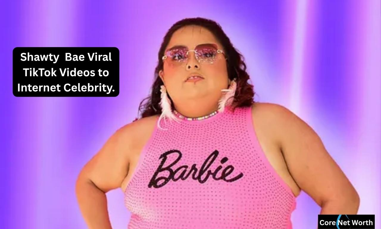 TikTok Videos to Internet Celebrity